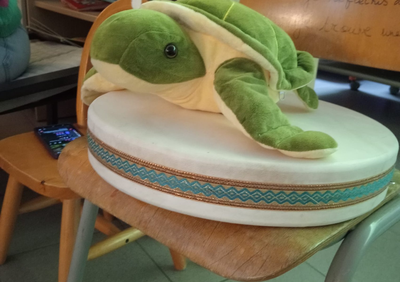 whatsapp image 2025-11-14 at 18.50.28